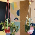 Ngàm treo nhiều dây Parametric (Hanging Hub) – Multi-Cord Anchor - Thumbnail 3