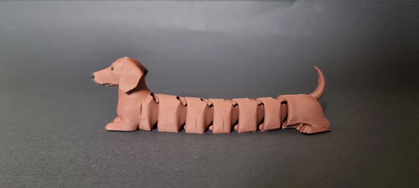 Chó Dachshund Flexi Khớp Nối (Articulated) Nhiều Màu - Image 4