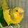 Luki41_462436