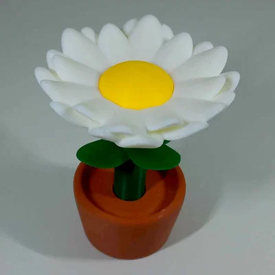 Cúc Daisy Trong Chậu Nhiều Phần (fusion360)
