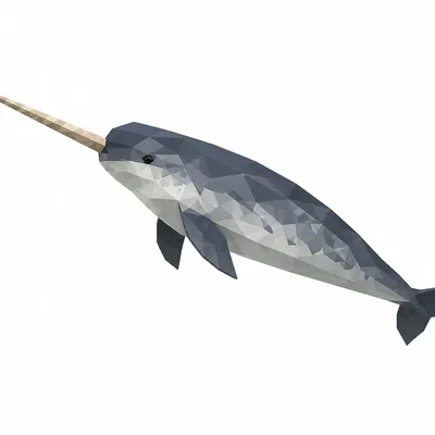 Mô hình chú cá kỳ lân Narwhal phong cách Low Poly 3D ấn tượng