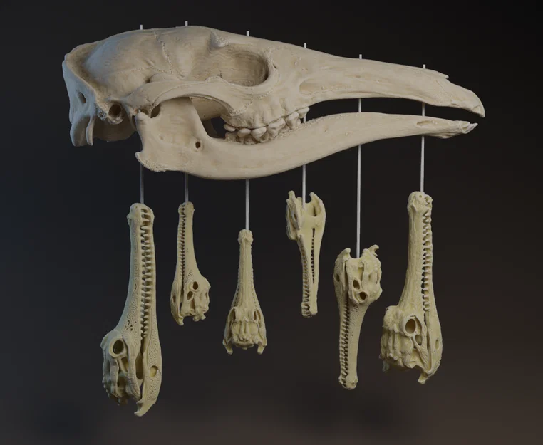 Mô hình trang trí Aardvark Crocodile Skull Chimes độc đáo - Image 1