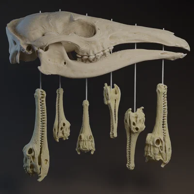 Mô hình trang trí Aardvark Crocodile Skull Chimes độc đáo