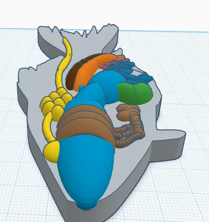Cá perch sinh học đầy đủ cơ quan (fully created biology fish) - Image 3