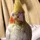 w3donline_249986