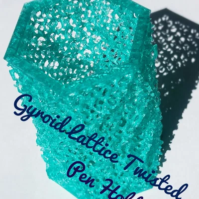 Ống Cắm Bút Gyroid Lattice Xoắn (Gyroid Lattice Twisted Pen Holder)