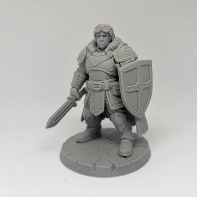 Ser Garrick Vale — Hiệp Sĩ Thánh (Human Paladin)