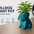 Chậu trồng cây Bulldog (Bulldog Plant Pot-Planter) - Thumbnail 1