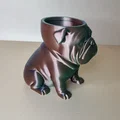 Chậu trồng cây Bulldog (Bulldog Plant Pot-Planter) - Thumbnail 3