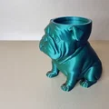 Chậu trồng cây Bulldog (Bulldog Plant Pot-Planter) - Thumbnail 4
