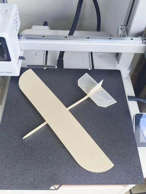 Glider cơ bản in 3D hoàn toàn (Fully Printed Basic Glider) - Image 1