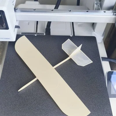 Glider cơ bản in 3D hoàn toàn (Fully Printed Basic Glider)