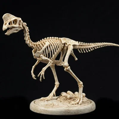 Mô hình 3D bộ xương khủng long Oviraptor chi tiết cao