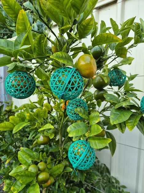 Lồng bảo vệ trái cây tái sử dụng (Reusable fruit protection cage) - Image 1