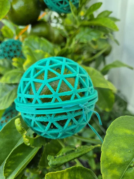 Lồng bảo vệ trái cây tái sử dụng (Reusable fruit protection cage) - Image 5