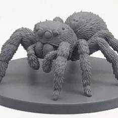 Mô hình tượng nhện nhảy (Jumping Spider) 3D siêu chi tiết