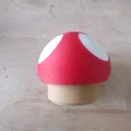 Hộp hình nấm (Mushroom box) - Thumbnail 1