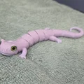 Flexi Salamander – Tương thích mắt kính 6mm + 8mm - Thumbnail 2