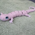 Flexi Salamander – Tương thích mắt kính 6mm + 8mm - Thumbnail 6