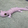 Flexi Salamander – Tương thích mắt kính 6mm + 8mm - Thumbnail 9
