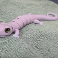 Flexi Salamander – Tương thích mắt kính 6mm + 8mm - Thumbnail 10