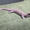 Flexi Salamander – Tương thích mắt kính 6mm + 8mm - Thumbnail 12