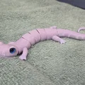 Flexi Salamander – Tương thích mắt kính 6mm + 8mm - Thumbnail 13