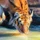ArthurBeseli_3982649