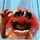 jcjames_13009_134821