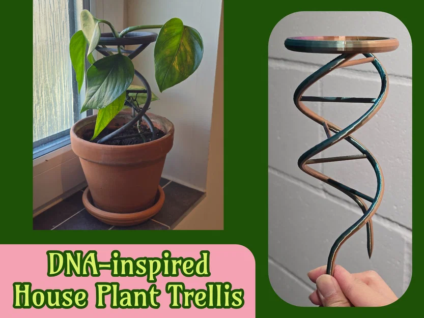 Giàn/giá đỡ cây trong nhà lấy cảm hứng từ DNA (double helix) - Image 1