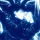 Monkeysloth_91743