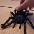 Nhện Tarantula Flexi Khớp Nối (Articulated Tarantula Flexi) - Thumbnail 1