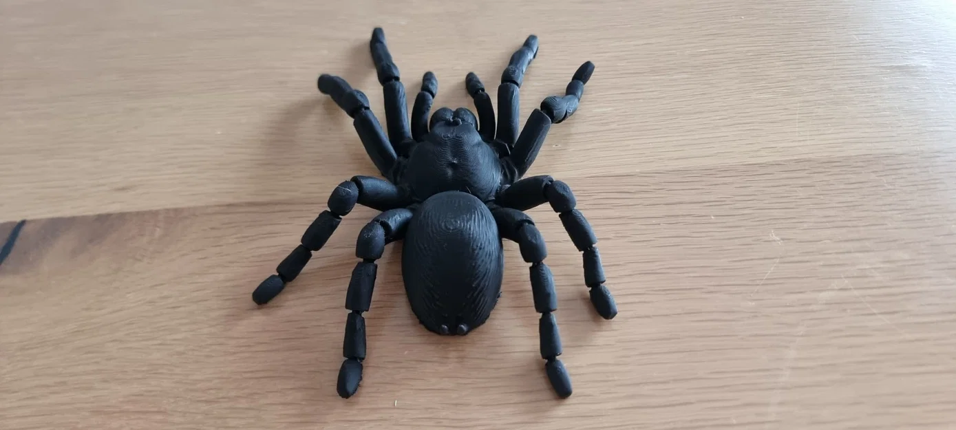 Nhện Tarantula Flexi Khớp Nối (Articulated Tarantula Flexi) - Image 2