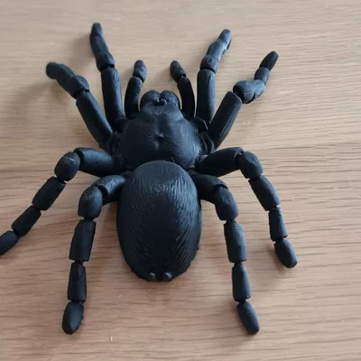 Nhện Tarantula Flexi Khớp Nối (Articulated Tarantula Flexi)