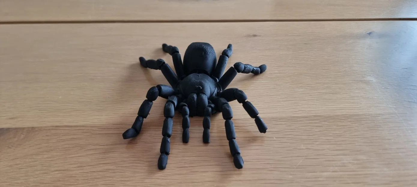 Nhện Tarantula Flexi Khớp Nối (Articulated Tarantula Flexi) - Image 3