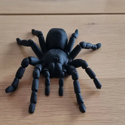 Nhện Tarantula Flexi Khớp Nối (Articulated Tarantula Flexi)