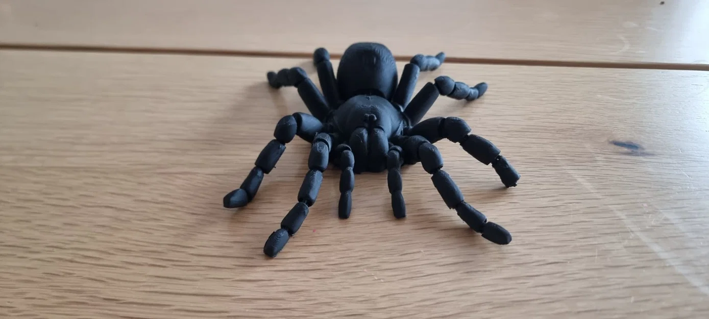 Nhện Tarantula Flexi Khớp Nối (Articulated Tarantula Flexi) - Image 4