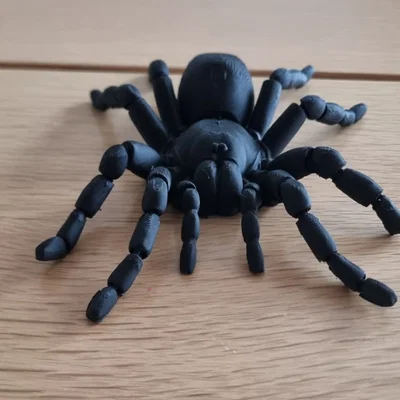Nhện Tarantula Flexi Khớp Nối (Articulated Tarantula Flexi)