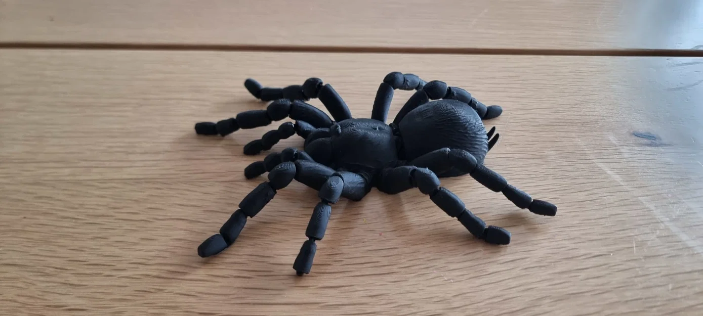 Nhện Tarantula Flexi Khớp Nối (Articulated Tarantula Flexi) - Image 5