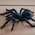Nhện Tarantula Flexi Khớp Nối (Articulated Tarantula Flexi) - Thumbnail 5