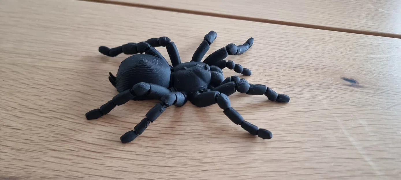 Nhện Tarantula Flexi Khớp Nối (Articulated Tarantula Flexi) - Image 6