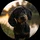 Shadow_Steve_8156
