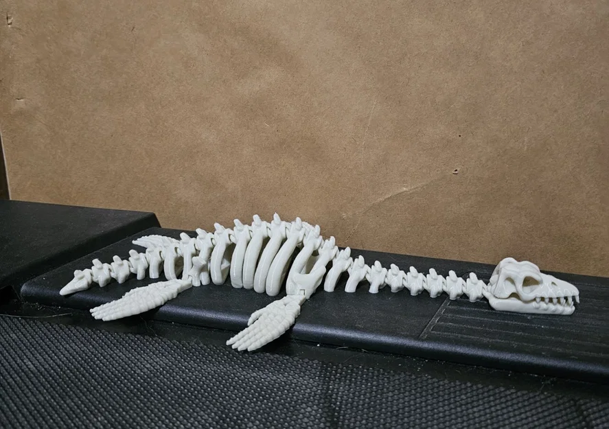 Mô hình bộ xương khủng long Plesiosaurus khớp nối linh hoạt in 3D - Image 1