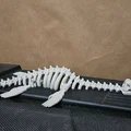 Mô hình bộ xương khủng long Plesiosaurus khớp nối linh hoạt in 3D - Thumbnail 1