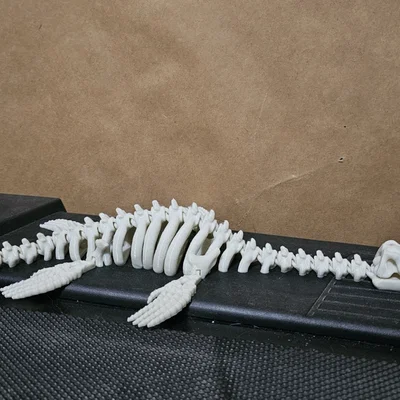 Mô hình bộ xương khủng long Plesiosaurus khớp nối linh hoạt in 3D