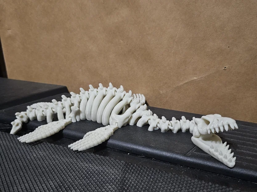 Mô hình bộ xương khủng long Plesiosaurus khớp nối linh hoạt in 3D - Image 2