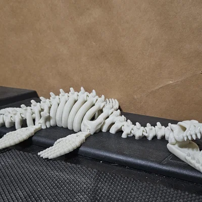 Mô hình bộ xương khủng long Plesiosaurus khớp nối linh hoạt in 3D