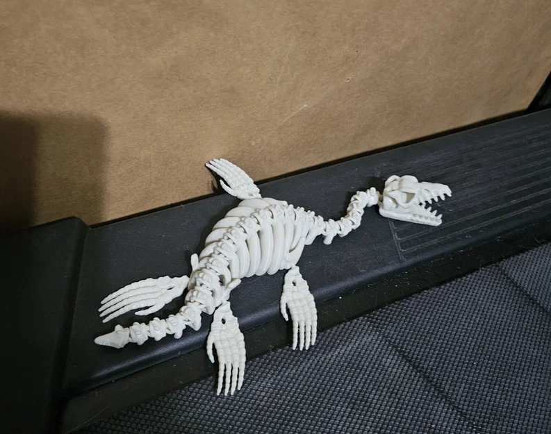 Mô hình bộ xương khủng long Plesiosaurus khớp nối linh hoạt in 3D - Image 3