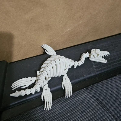 Mô hình bộ xương khủng long Plesiosaurus khớp nối linh hoạt in 3D