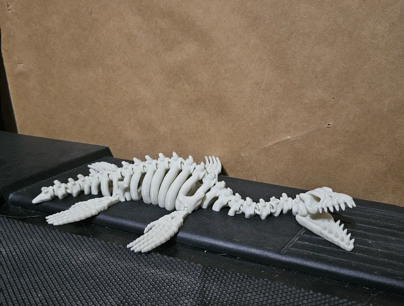 Mô hình bộ xương khủng long Plesiosaurus khớp nối linh hoạt in 3D - Image 4